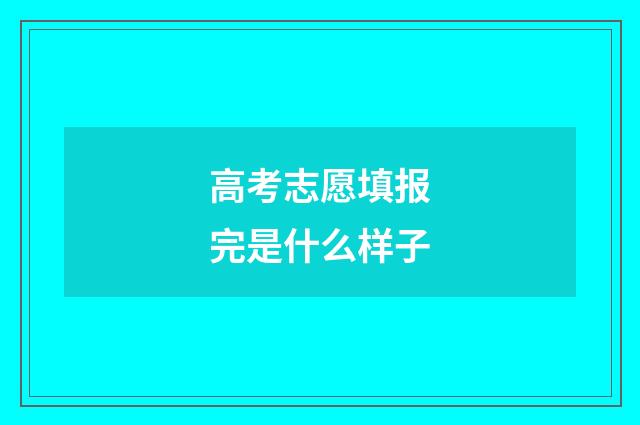 高考志愿填报完是什么样子