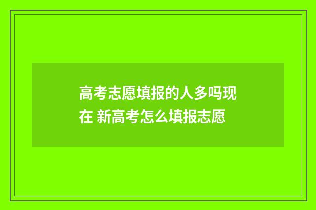 高考志愿填报的人多吗现在 新高考怎么填报志愿