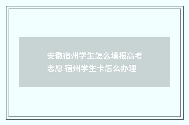 安徽宿州学生怎么填报高考志愿 宿州学生卡怎么办理