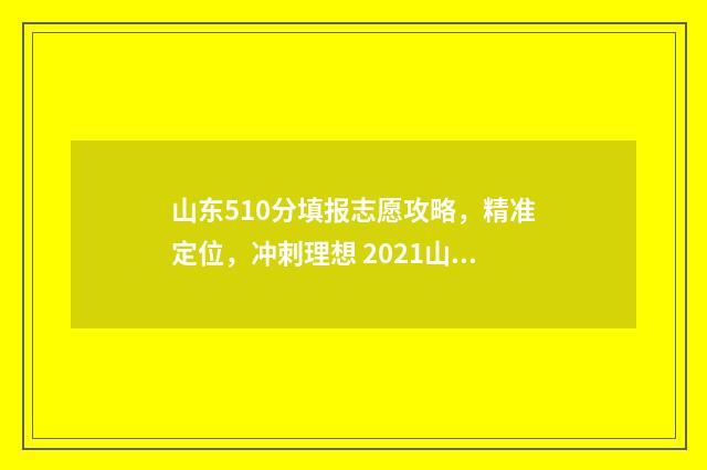 山东510分填报志愿攻略，精准定位，冲刺理想 2021山东510分能考上什么大学