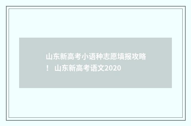 山东新高考小语种志愿填报攻略！ 山东新高考语文2020