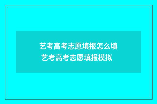 艺考高考志愿填报怎么填 艺考高考志愿填报模拟