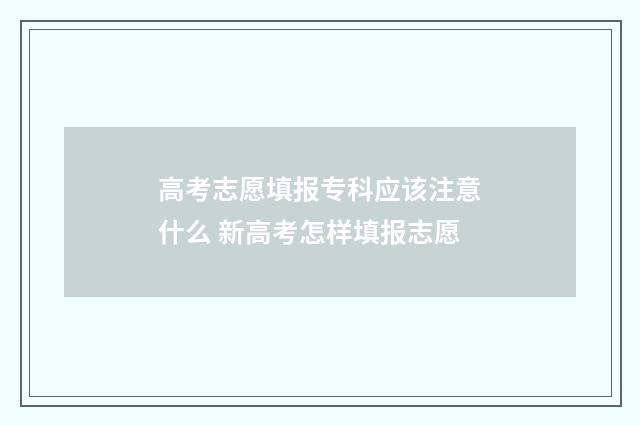 高考志愿填报专科应该注意什么 新高考怎样填报志愿