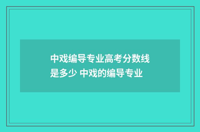 中戏编导专业高考分数线是多少 中戏的编导专业
