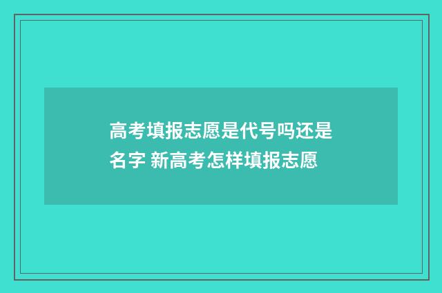 高考填报志愿是代号吗还是名字 新高考怎样填报志愿