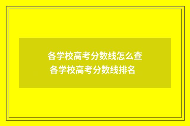 各学校高考分数线怎么查 各学校高考分数线排名
