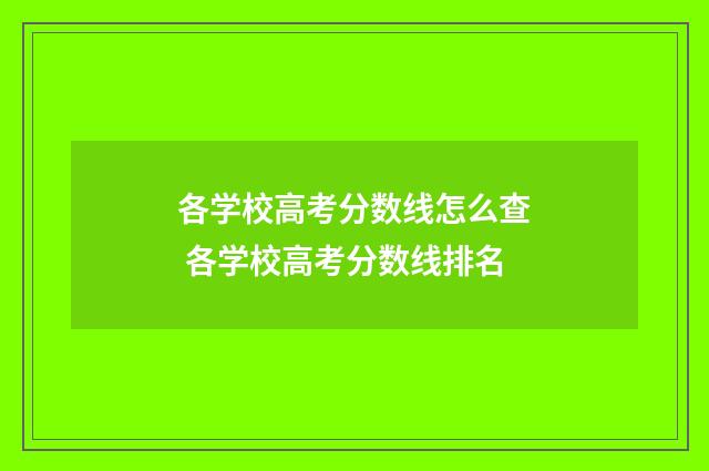 各学校高考分数线怎么查 各学校高考分数线排名