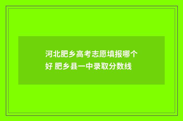 河北肥乡高考志愿填报哪个好 肥乡县一中录取分数线