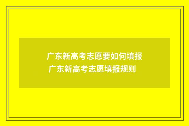 广东新高考志愿要如何填报 广东新高考志愿填报规则