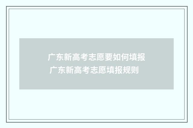 广东新高考志愿要如何填报 广东新高考志愿填报规则