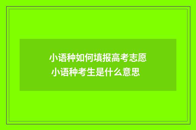 小语种如何填报高考志愿 小语种考生是什么意思