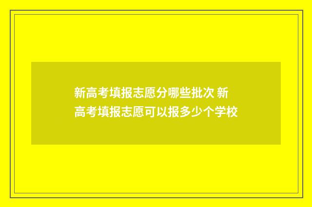 新高考填报志愿分哪些批次 新高考填报志愿可以报多少个学校