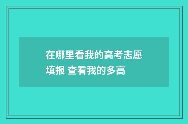 在哪里看我的高考志愿填报 查看我的多高
