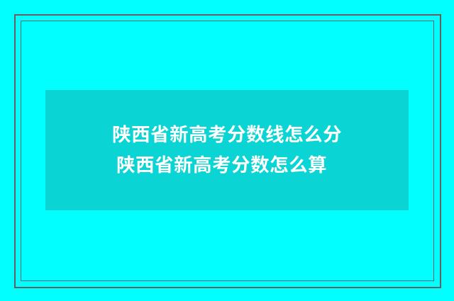陕西省新高考分数线怎么分 陕西省新高考分数怎么算