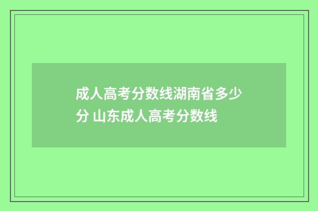成人高考分数线湖南省多少分 山东成人高考分数线