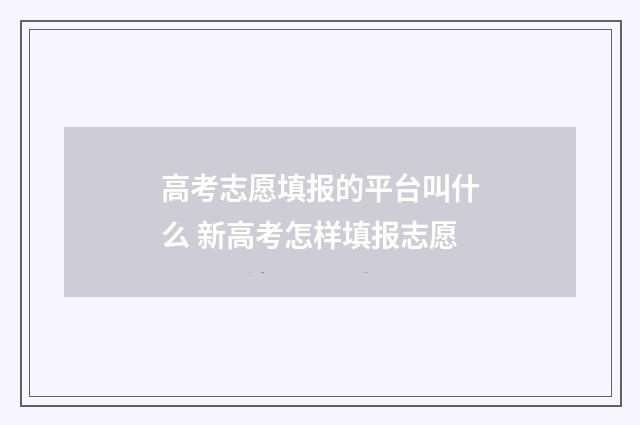 高考志愿填报的平台叫什么 新高考怎样填报志愿