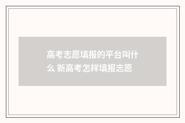 高考志愿填报的平台叫什么 新高考怎样填报志愿