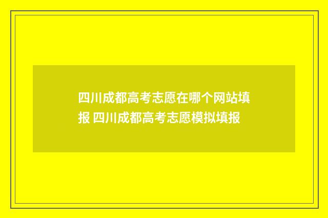 四川成都高考志愿在哪个网站填报 四川成都高考志愿模拟填报