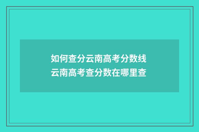 如何查分云南高考分数线 云南高考查分数在哪里查