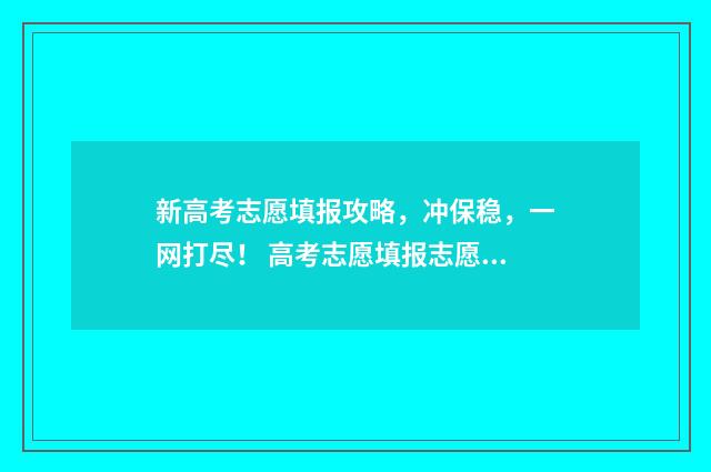 新高考志愿填报攻略，冲保稳，一网打尽！ 高考志愿填报志愿表