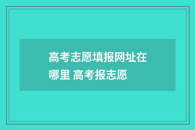高考志愿填报网址在哪里 高考报志愿