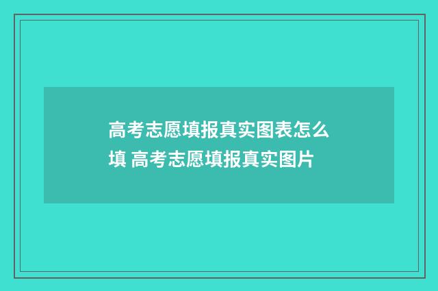 高考志愿填报真实图表怎么填 高考志愿填报真实图片