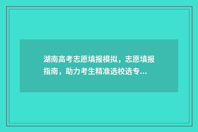 湖南高考志愿填报模拟，志愿填报指南，助力考生精准选校选专业 湖南高考志愿填报表