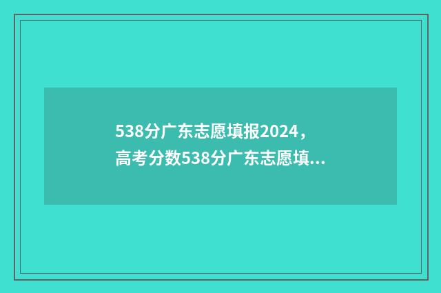538分广东志愿填报2024，高考分数538分广东志愿填报最佳选择 广东志愿录取