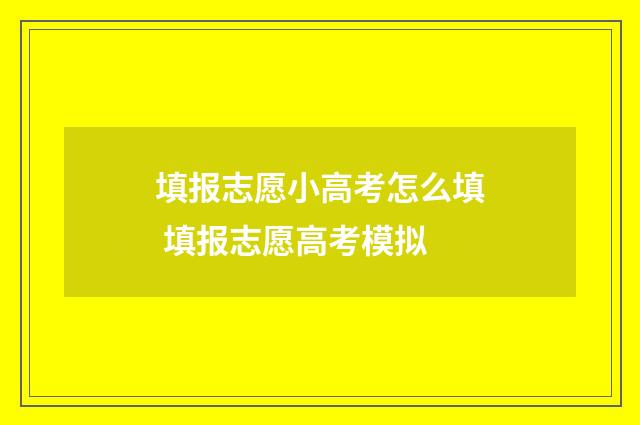 填报志愿小高考怎么填 填报志愿高考模拟