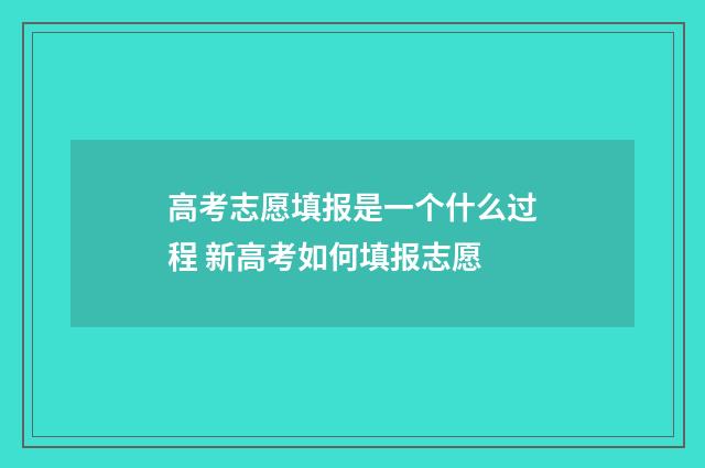 高考志愿填报是一个什么过程 新高考如何填报志愿