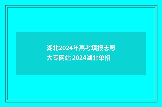 湖北2024年高考填报志愿大专网站 2024湖北单招