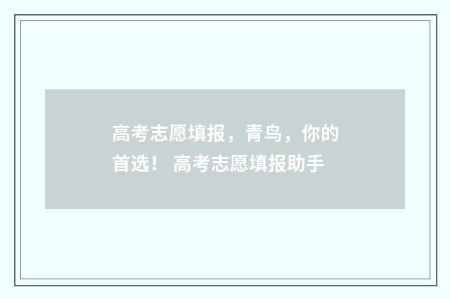 高考志愿填报，青鸟，你的首选！ 高考志愿填报助手