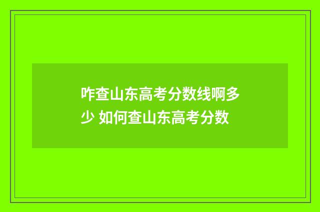 咋查山东高考分数线啊多少 如何查山东高考分数