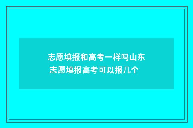 志愿填报和高考一样吗山东 志愿填报高考可以报几个