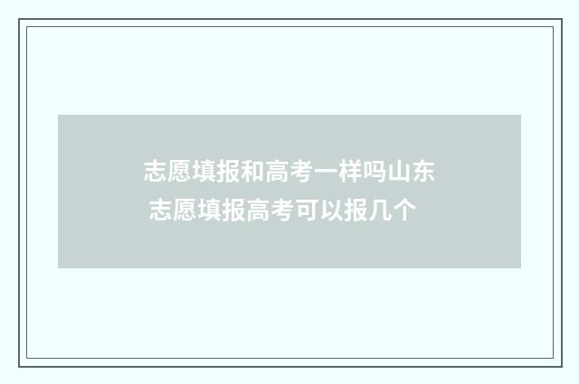 志愿填报和高考一样吗山东 志愿填报高考可以报几个
