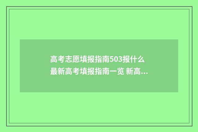 高考志愿填报指南503报什么 最新高考填报指南一览 新高考怎样填报志愿