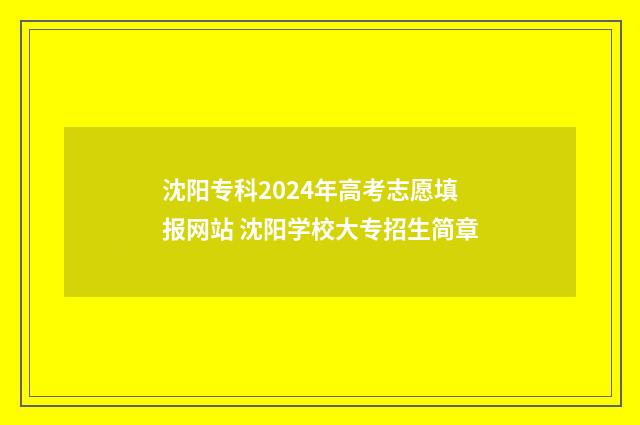 沈阳专科2024年高考志愿填报网站 沈阳学校大专招生简章