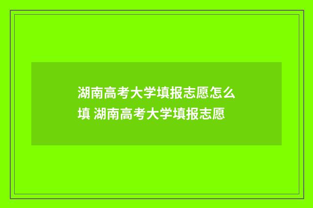 湖南高考大学填报志愿怎么填 湖南高考大学填报志愿
