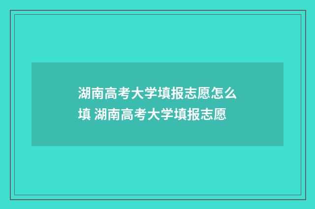 湖南高考大学填报志愿怎么填 湖南高考大学填报志愿