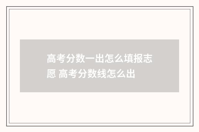 高考分数一出怎么填报志愿 高考分数线怎么出