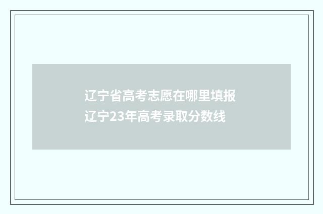 辽宁省高考志愿在哪里填报 辽宁23年高考录取分数线