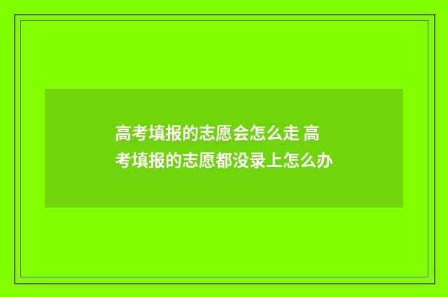 高考填报的志愿会怎么走 高考填报的志愿都没录上怎么办
