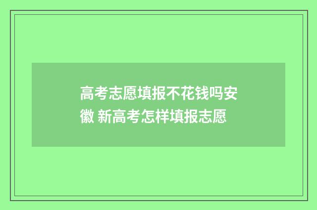 高考志愿填报不花钱吗安徽 新高考怎样填报志愿