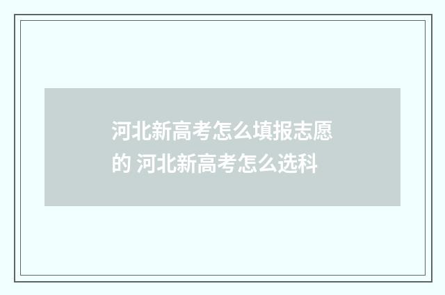 河北新高考怎么填报志愿的 河北新高考怎么选科
