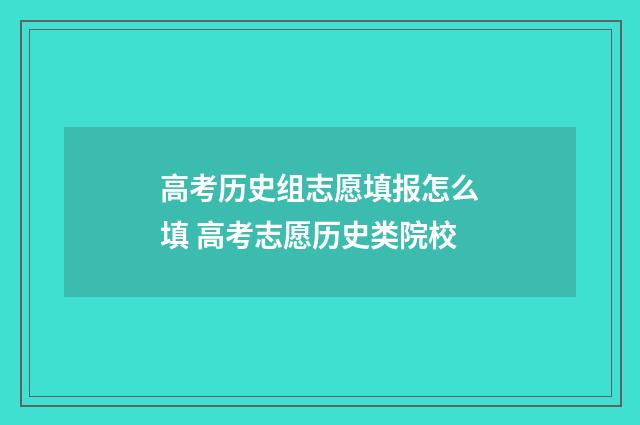 高考历史组志愿填报怎么填 高考志愿历史类院校