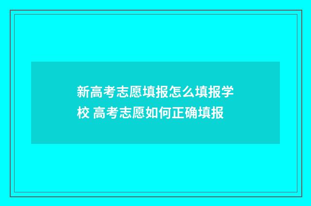 新高考志愿填报怎么填报学校 高考志愿如何正确填报