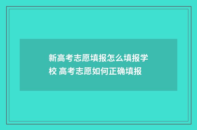新高考志愿填报怎么填报学校 高考志愿如何正确填报