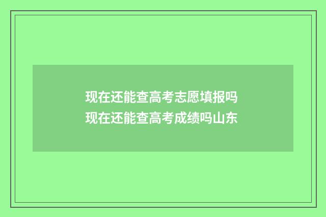 现在还能查高考志愿填报吗 现在还能查高考成绩吗山东