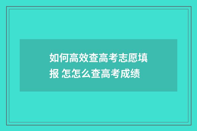 如何高效查高考志愿填报 怎怎么查高考成绩