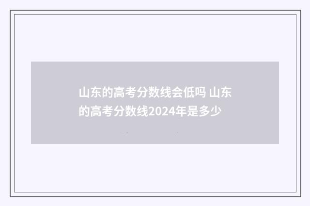 山东的高考分数线会低吗 山东的高考分数线2024年是多少